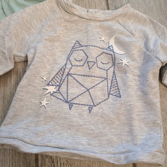 Jumping Beans and Carter's baby girl long sleeve tops grey and blue size 3-6M - Picture 3 of 7